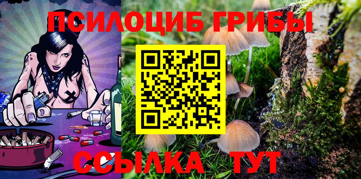 Псилоцибиновые грибы мухоморы Бердск
