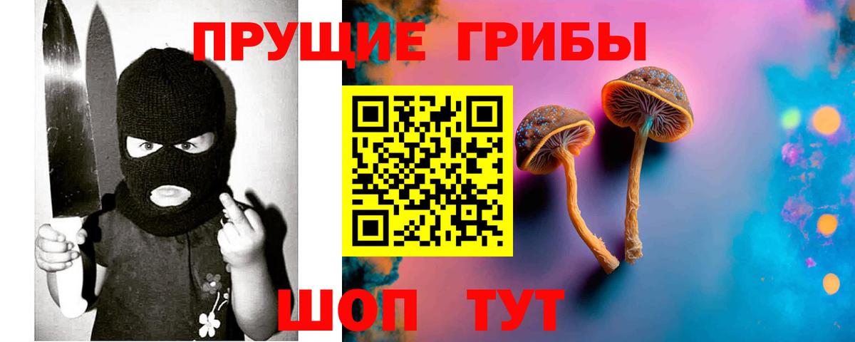 Галлюциногенные грибы мицелий  Вход с VPN  Бердск  Галлюциногенные грибы прущие грибы 