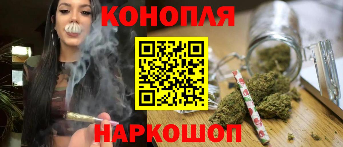 Канабис конопля  Вход с VPN  Бердск  Канабис сатива 